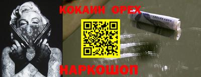 спиды Аргун