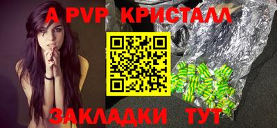 спиды Аргун