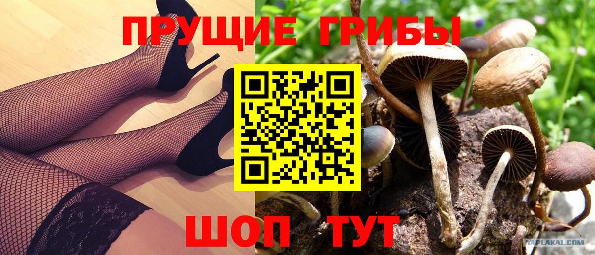 Беслан  Галлюциногенные грибы GOLDEN TEACHER  Вход с VPN 